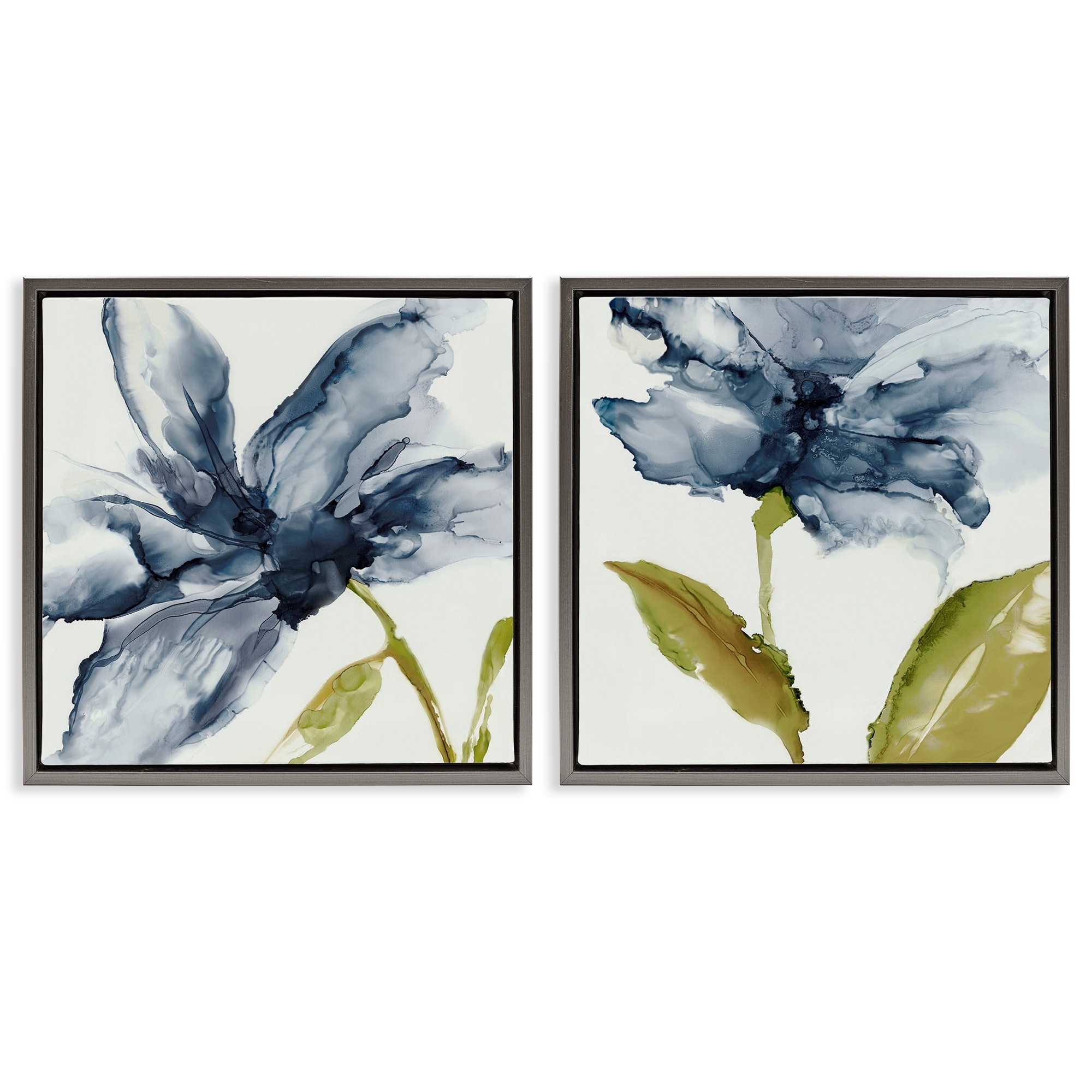 Stupell Petals Of The Sky Framed Floater Canvas Wall Art Design By Jacob Q (Set of 2)