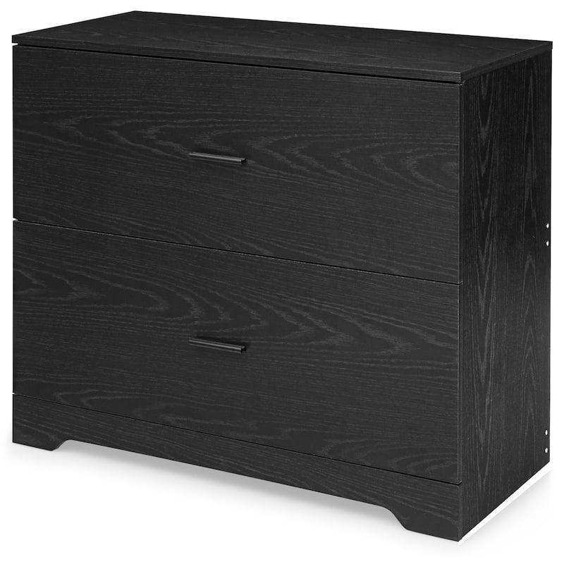 2 Drawer Lateral File Cabinet Printer Stand with Adjustable Bars - Black