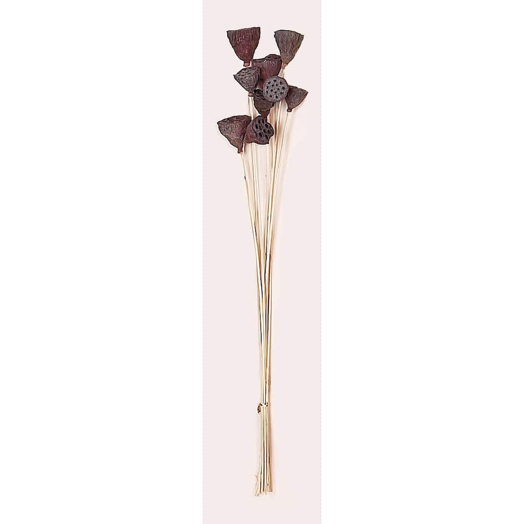 13" Mini Natural Lotus Stem x 9, Set of 4 - 16