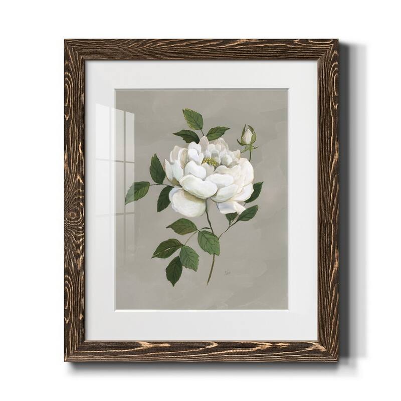 Botanical Rose-Premium Framed Print - Ready to Hang