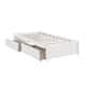 Option White