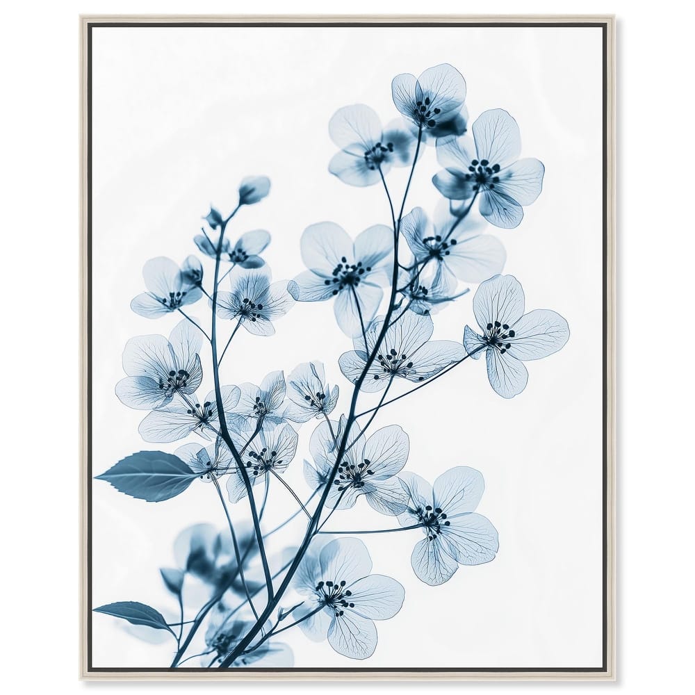 Translucent Petals I Canvas by Art Remedy