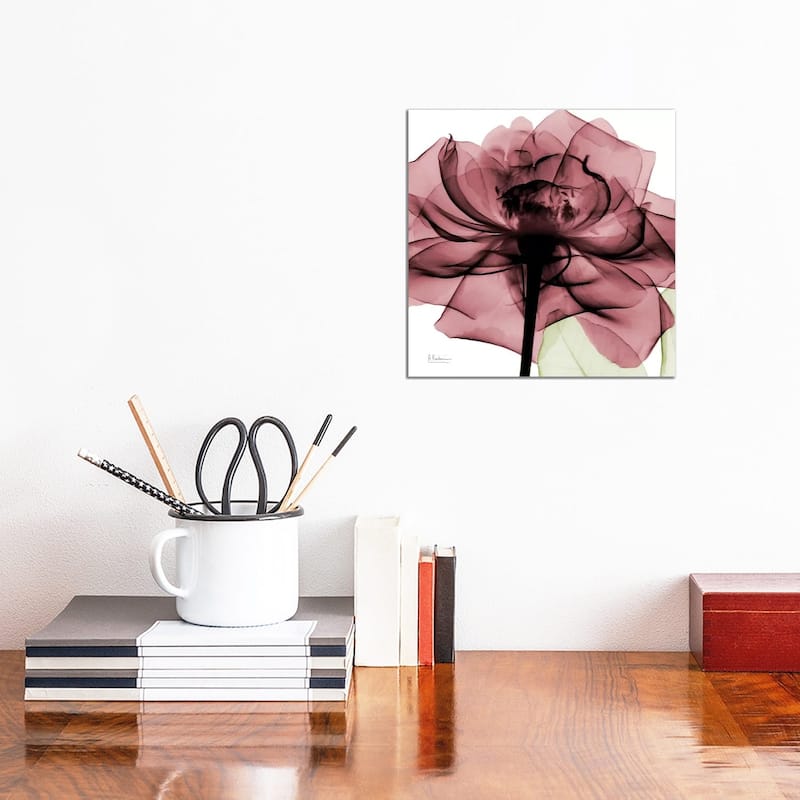 iCanvas "Chianti Rose II" by Albert Koetsier Canvas Print - 12x12x1.5