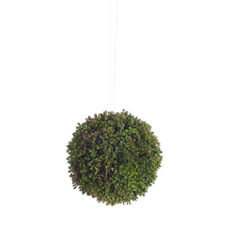 Seedum Orbs (Set of 8) - 4 x 4 x 4