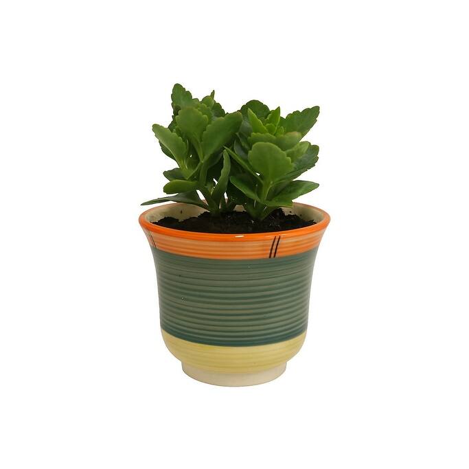 Home&Manor Ceramic Planter with Drain Hole