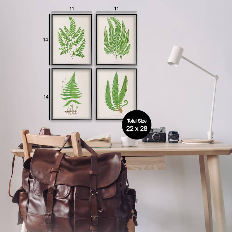 Stupell Subtle Green Fern Branches Framed Giclee Art Design By Phillipa Katz (Set of 4)