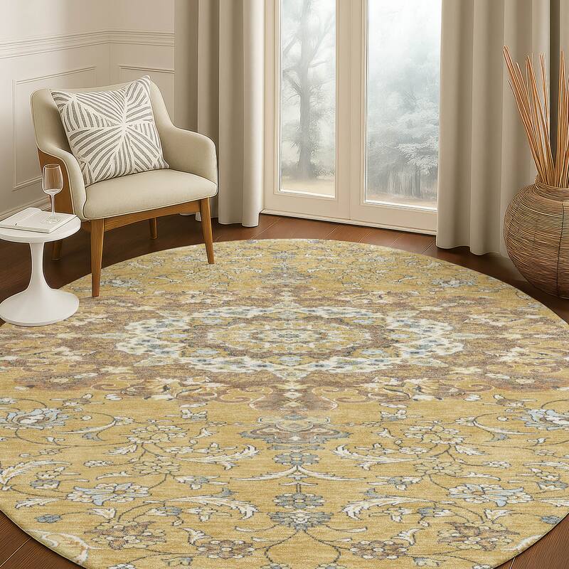 Machine Washable Indoor/ Outdoor Traditional Awaka Chantille Rug