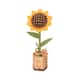 Option Sunflower