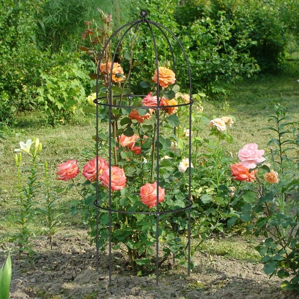 Garden Obelisk Trellis for Climbing Plants, Large Metal Round Trellis - On  Sale - Bed Bath & Beyond - 42659191