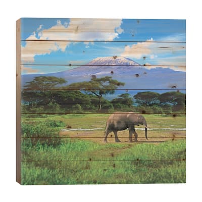 A Lone African Elephant With Mount Kilimanjaro In The Background, Amboseli National Park, Kenya Print On Wood by Miva Stock