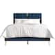 Option Navy Blue