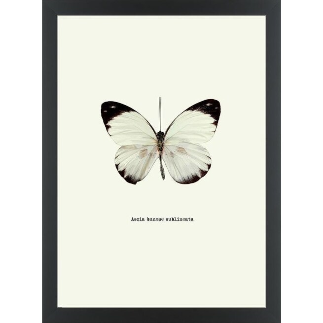 Shop Easy Art Prints Graphinc S White Butterfly Premium Canvas
