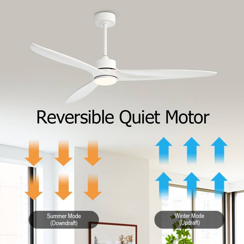 WINGBO 60 Inch DC Ceiling Fan with Lights and Remote Control, 3 Reversible Carved Wood Blades, 6-Speed Noiseless DC Motor