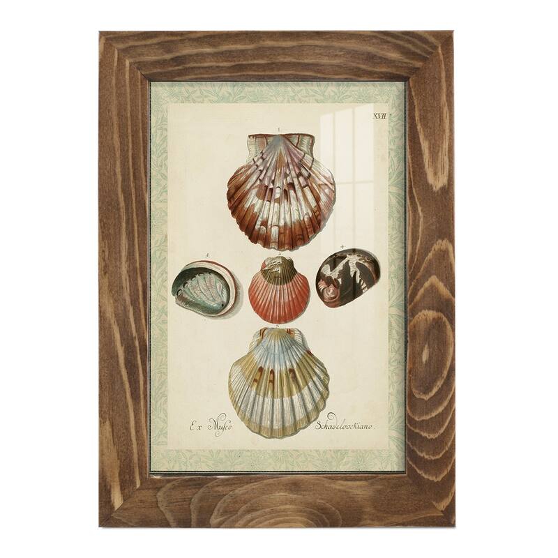 Bookplate Shells III -Framed Print w/glass-Cherry Red