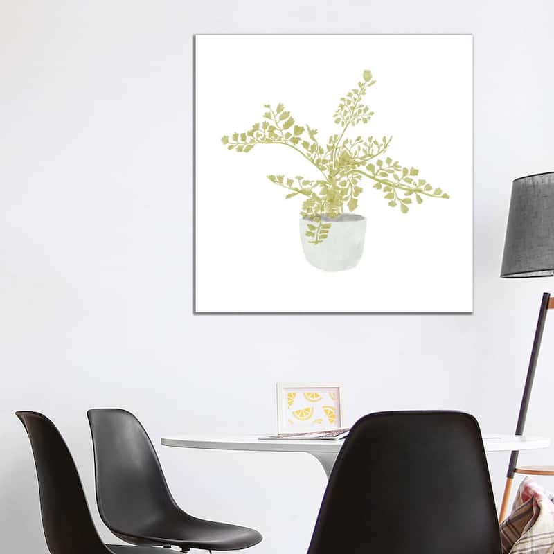 iCanvas "Potted Fern III" by Bannarot Canvas Print - 37x37x1.5
