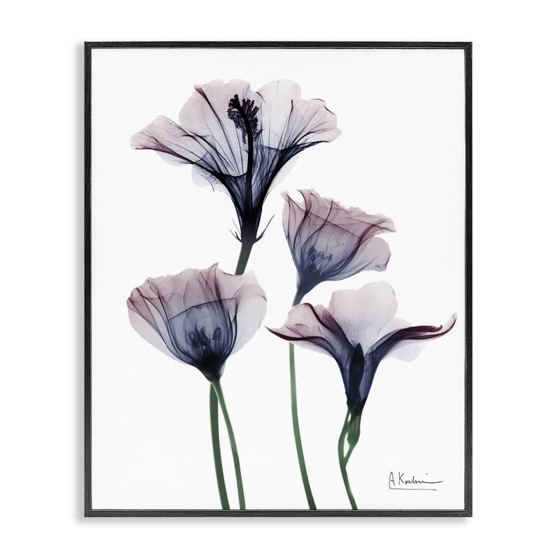 Stupell Bountiful Dusk Flowers Framed Giclee Art Design By Albert Koetsier - 11 x 14 - Black
