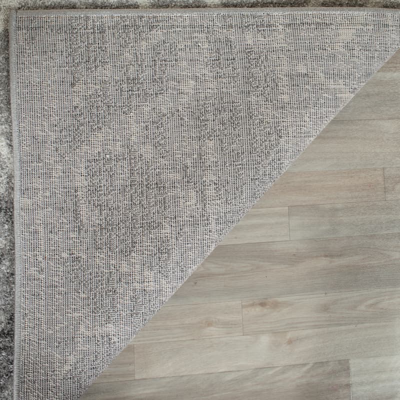 SAFAVIEH Adirondack Alessia Vintage Boho Rug