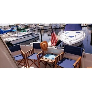 Safavieh Outdoor Living Laguna Blue Director Chair (Set of 2)