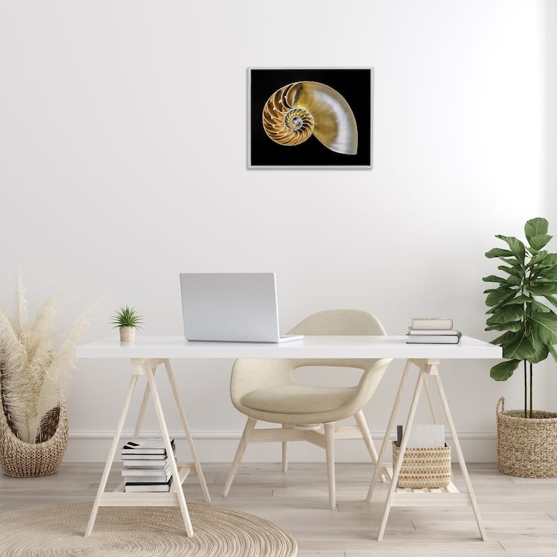 Stupell Tan Nautilus Shell on Black Framed Giclee Art Design By Mary Lou Johnson