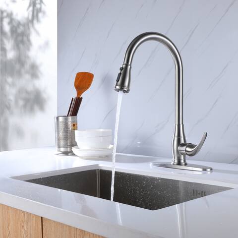 Pull Down Single Handle Kitchen Faucet With Deck Plate