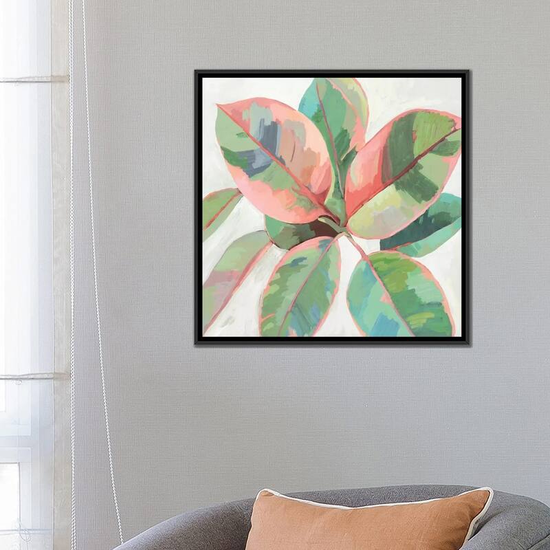 iCanvas "Pink Ficus II" by Asia Jensen Framed Canvas Print