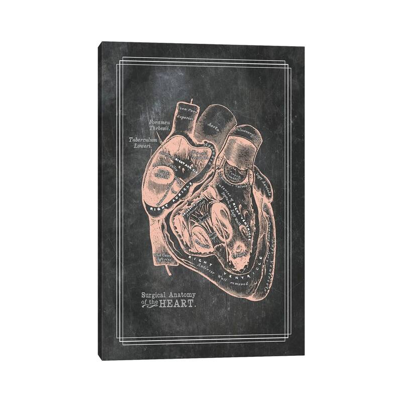 iCanvas "Surgical Anatomy Of The Heart" by ChartSmartDecor Canvas Print