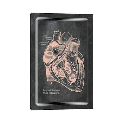 iCanvas "Surgical Anatomy Of The Heart" by ChartSmartDecor Canvas Print