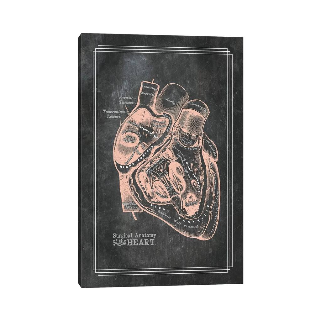 iCanvas "Surgical Anatomy Of The Heart" by ChartSmartDecor Canvas Print