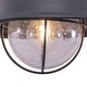 preview thumbnail 11 of 9, Harwich Gray Coastal Barn Dome Outdoor Flush Mount Ceiling Light Clear Glass - 10-in W x 7.75-in H x 10-in D
