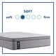 preview thumbnail 2 of 7, Sealy Posturepedic Spring Reed 15-inch Plush Euro Pillow Top Mattress Set