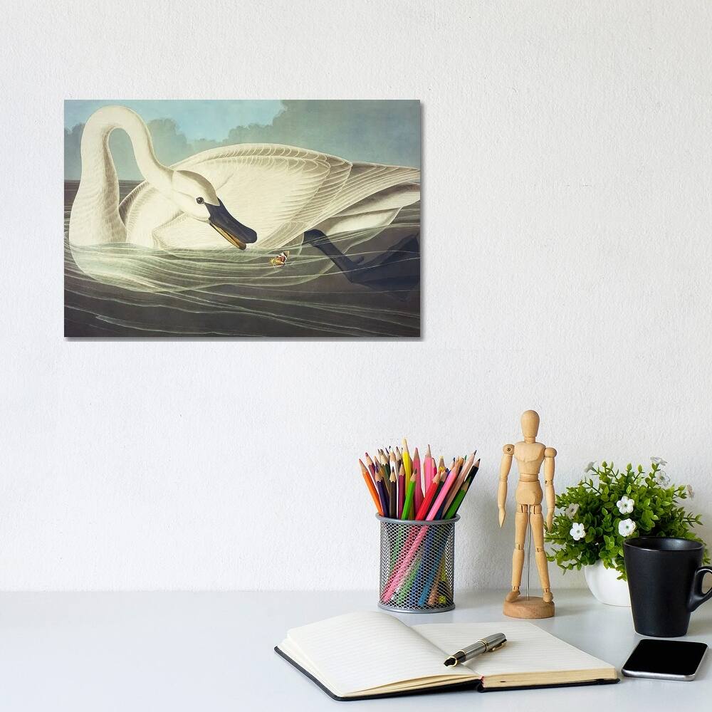 iCanvas "Trumpeter Swan II" by John James Audubon Canvas Print