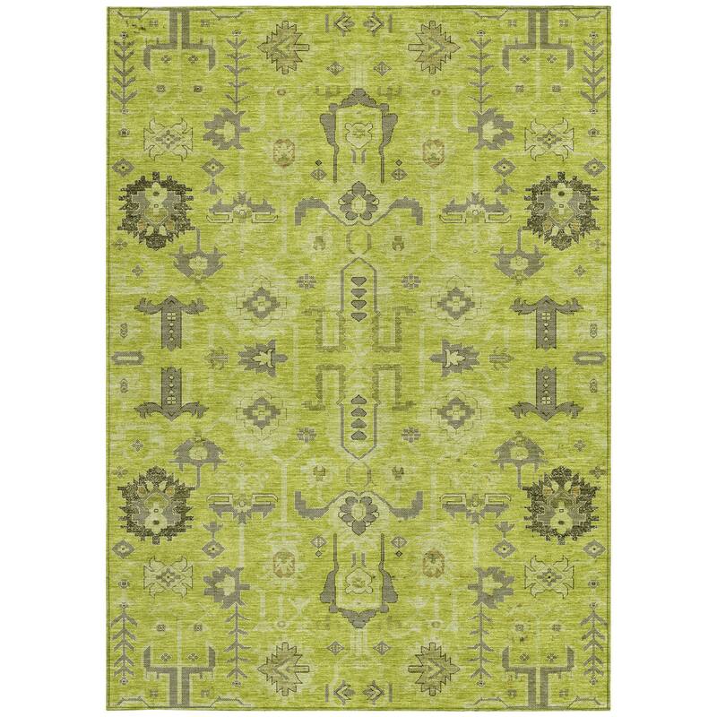 HomeRoots Oriental Traditional Rectangle Outdoor Rug