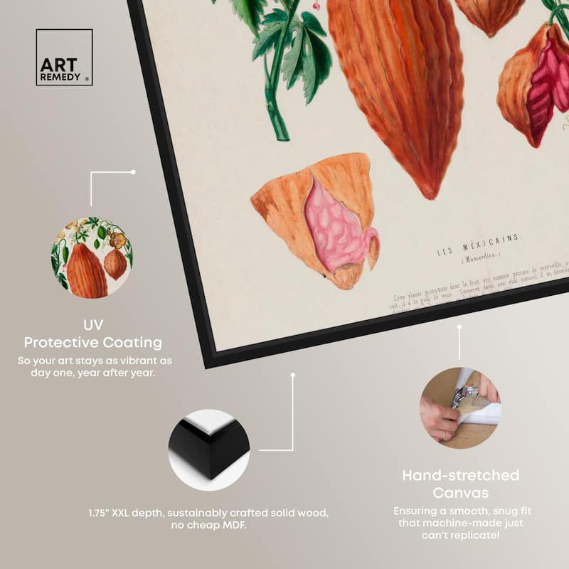 Momordica Exotic Floral Flore Canvas by Art Remedy