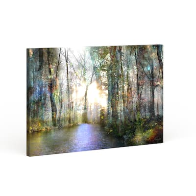 Copper Grove Roozbeh Bahramali's 'Hope' Gallery Wrapped Canvas