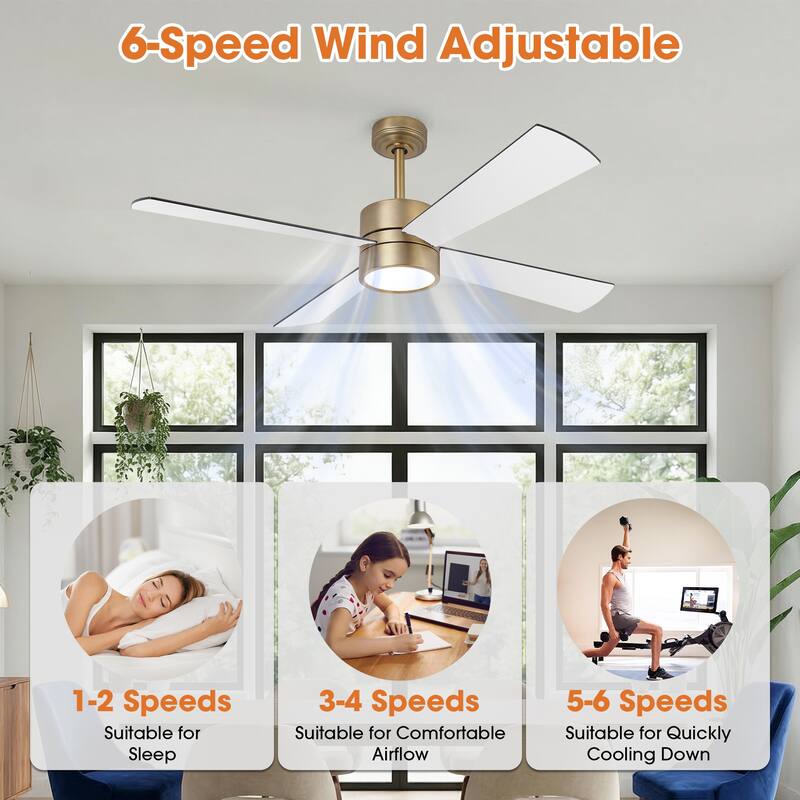 52" Modern Gold Integrated LED Dimmable Reversible Smart Ceiling Fan with RGB Light, Remote and APP Control