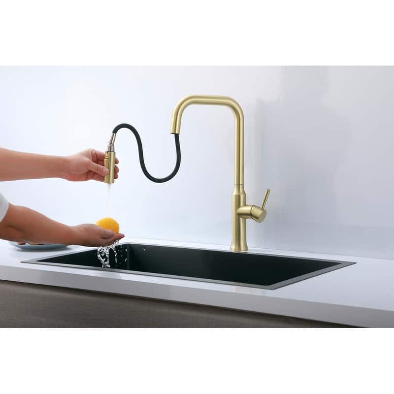 Indigo Home Single Handle Pull Down Sprayer Kitchen Faucet