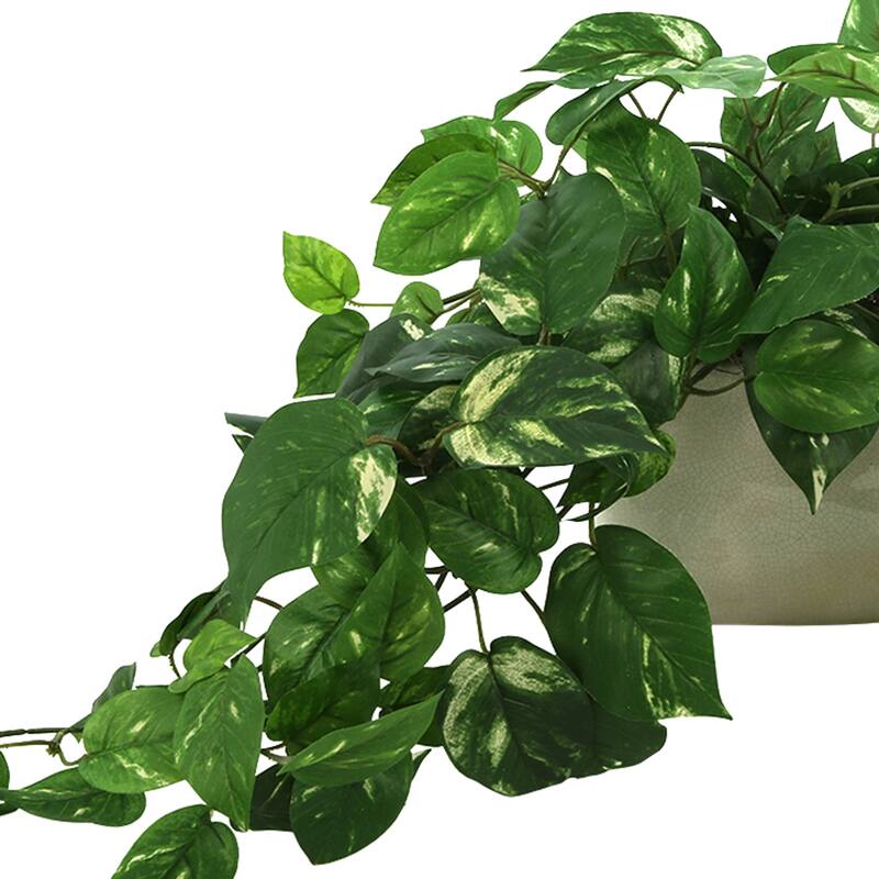 Pothos Arrangement in Ceramic Pot