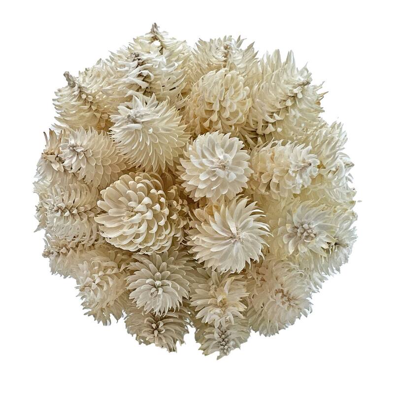 Handmade Preserved Topiary Balls – Set of 9 Decorative Floral Orbs - 4 inch