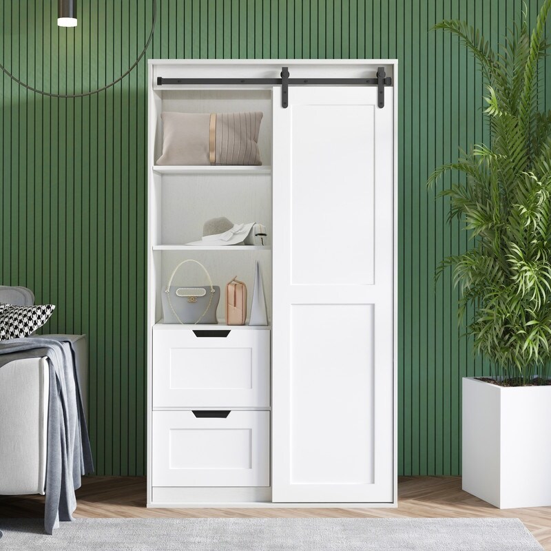 Sliding Barn Door Wall Storage with Mirror Brushed White