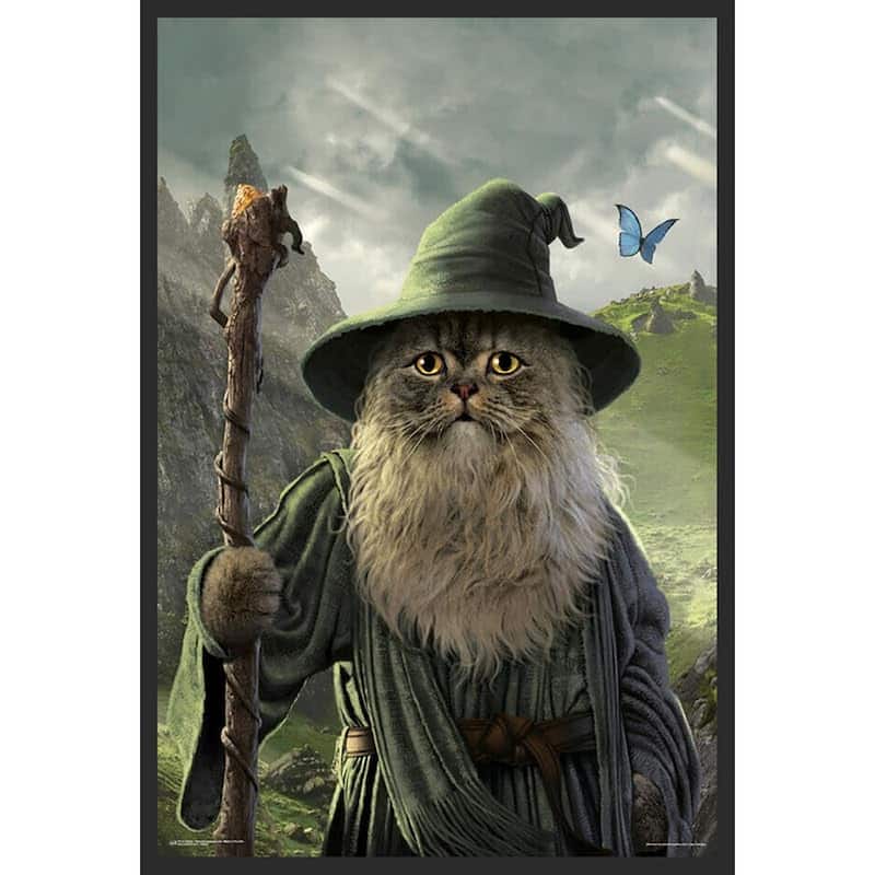 Catdalf by Vincent Hie Framed Poster - 24 x 36 Inch