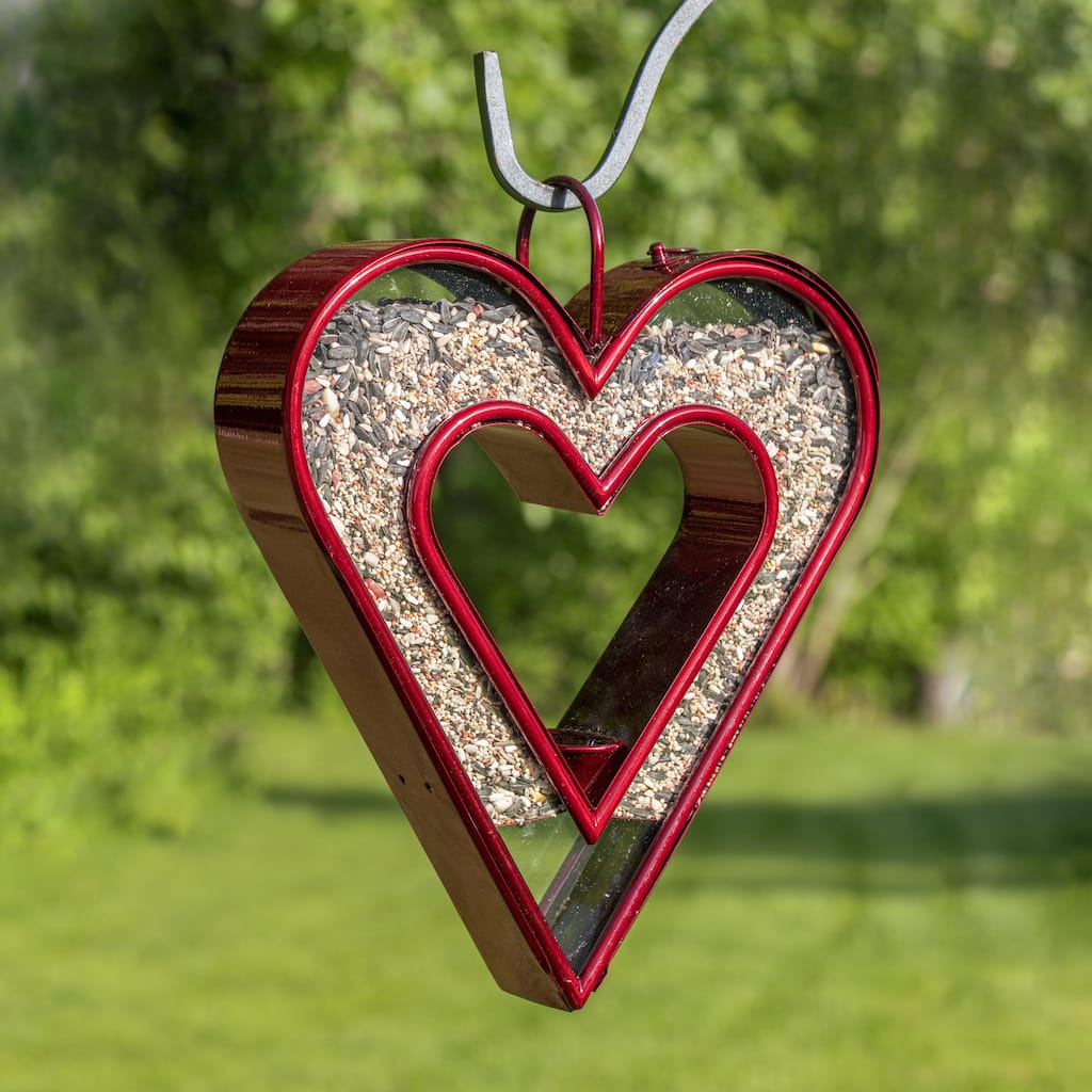 Be Still My Heart Fly Thru Heart-Shaped Ruby Red Bird Feeder by Good Directions