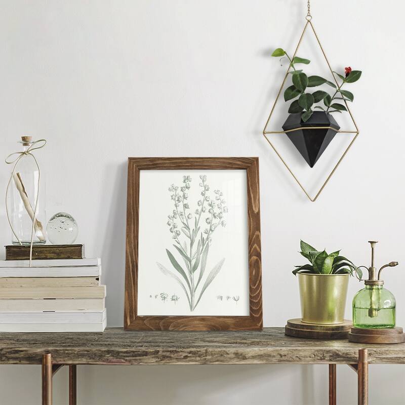 Botanical Study in Sage I -Framed Print w/glass-Cherry Red
