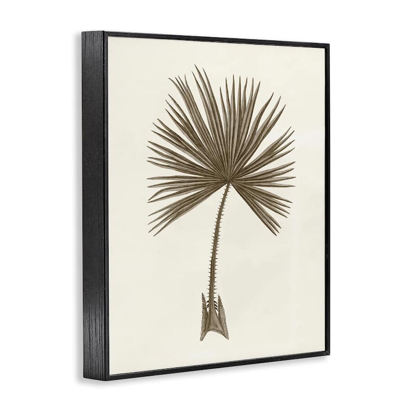 Stupell Vintage Study of Palm Leaf Framed Giclee Art Design By Phillipa Katz