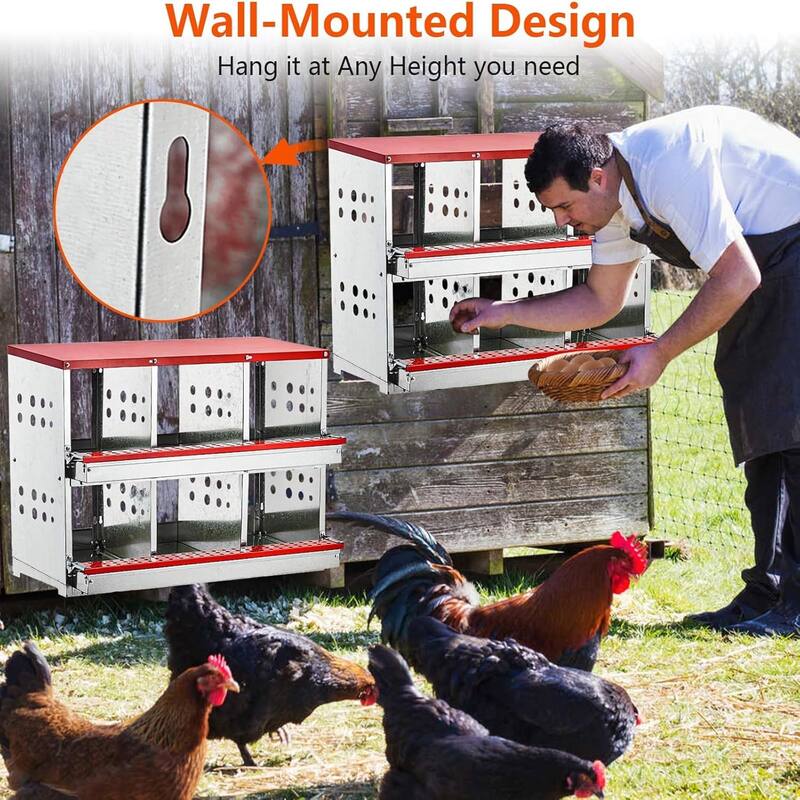 6-Hole Wall-Mounted Metal Chicken Nests Boxes Laying Eggs