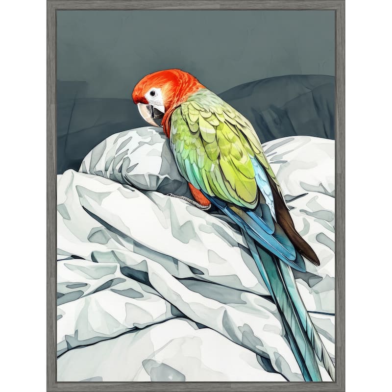 Animal Watercolor Art Bird Sleeping Parrot by Justyna Jaszke Framed Canvas Wall Art