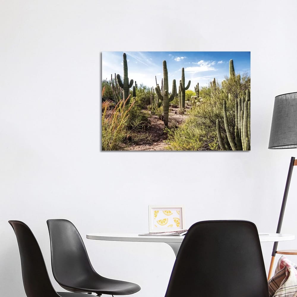 iCanvas "Into the Desert" by Bill Carson Photography Canvas Print