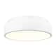Option White