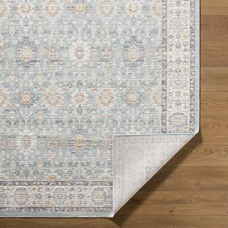 Livabliss Amir Traditional Area Rug