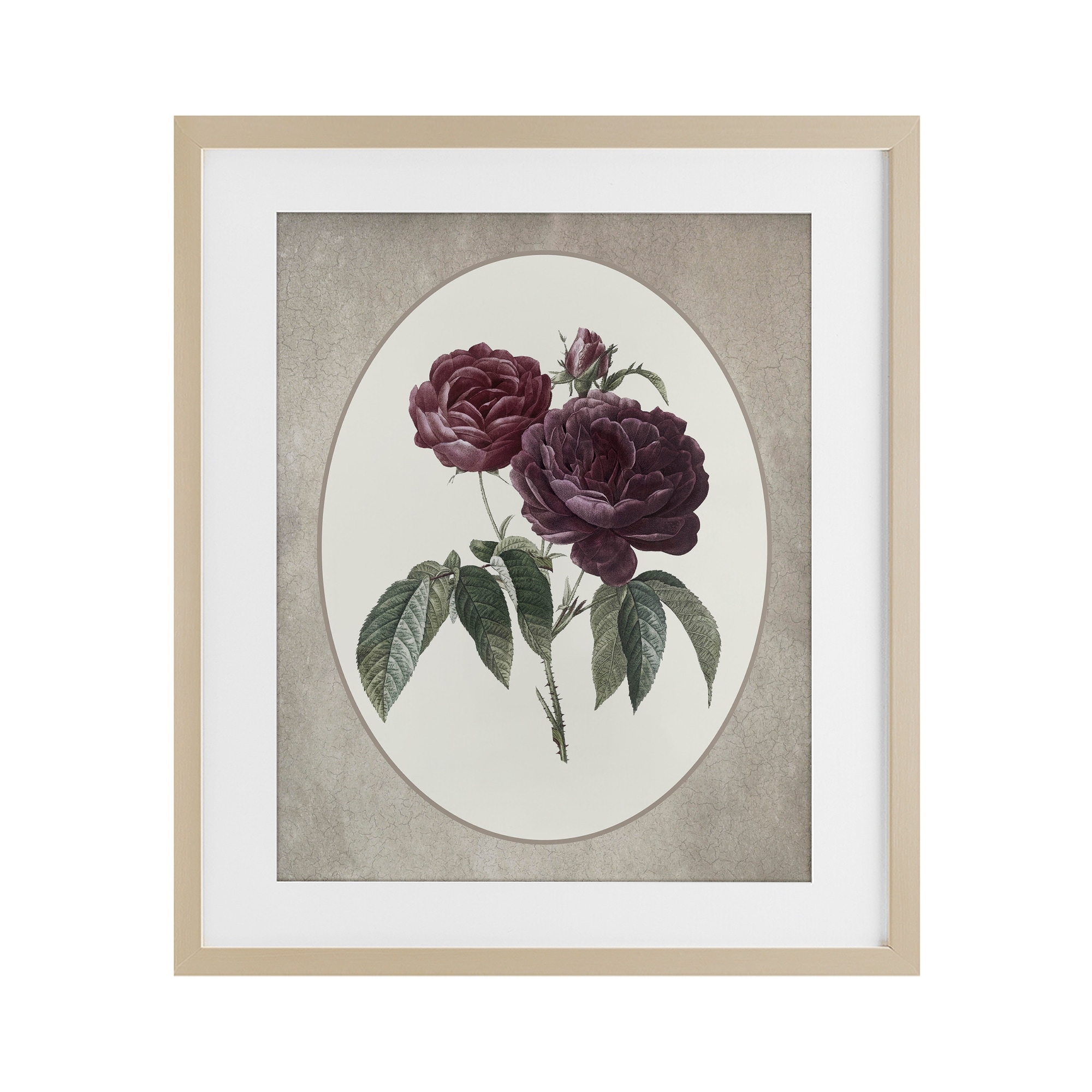 Stupell Vintage Blooms within Oval Under Glass Framed Design By Lettered and Lined