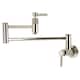 Option Polished Nickel